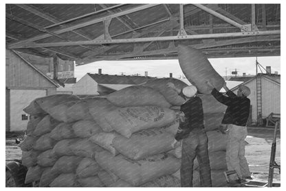 Petaluma Feed Warehouse January 1942 Agriculture History - Available at KNOWOL