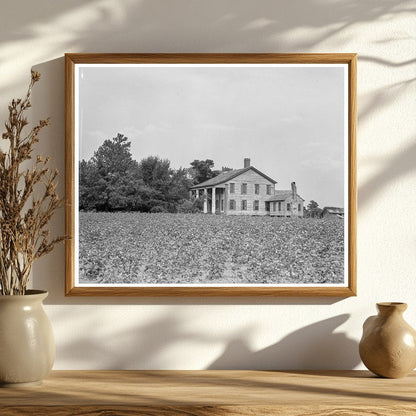 Pharr Plantation House Georgia 1840 Abandoned 1937 - Available at KNOWOL