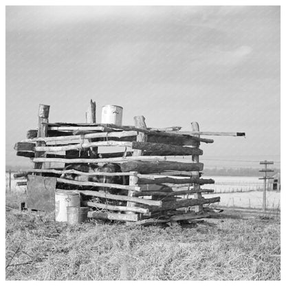 Pigs in Flood Control Pen Cache Illinois February 1937 - Available at KNOWOL