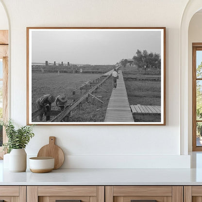 Pilottown Louisiana Boardwalk Construction September 1938 - Available at KNOWOL