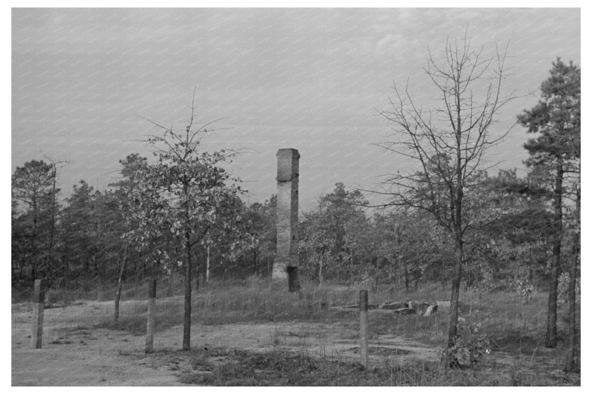 Pine Barrens Fire Damage January 1938 - Available at KNOWOL