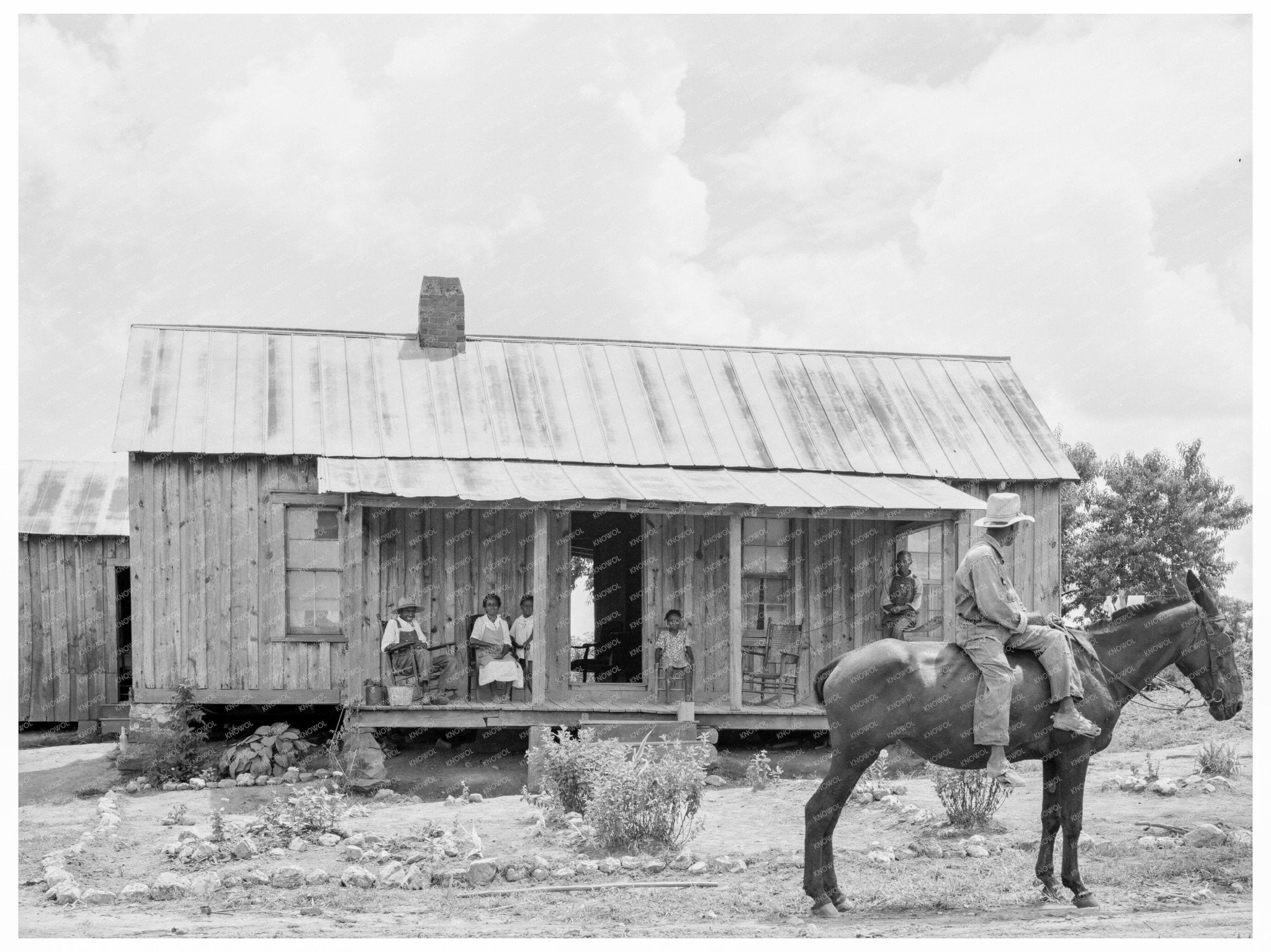 Pittsboro North Carolina Tenant Family Home 1939 - Available at KNOWOL