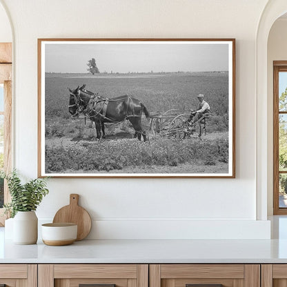 Planter with Mules on Farm Southeast Missouri 1938 - Available at KNOWOL