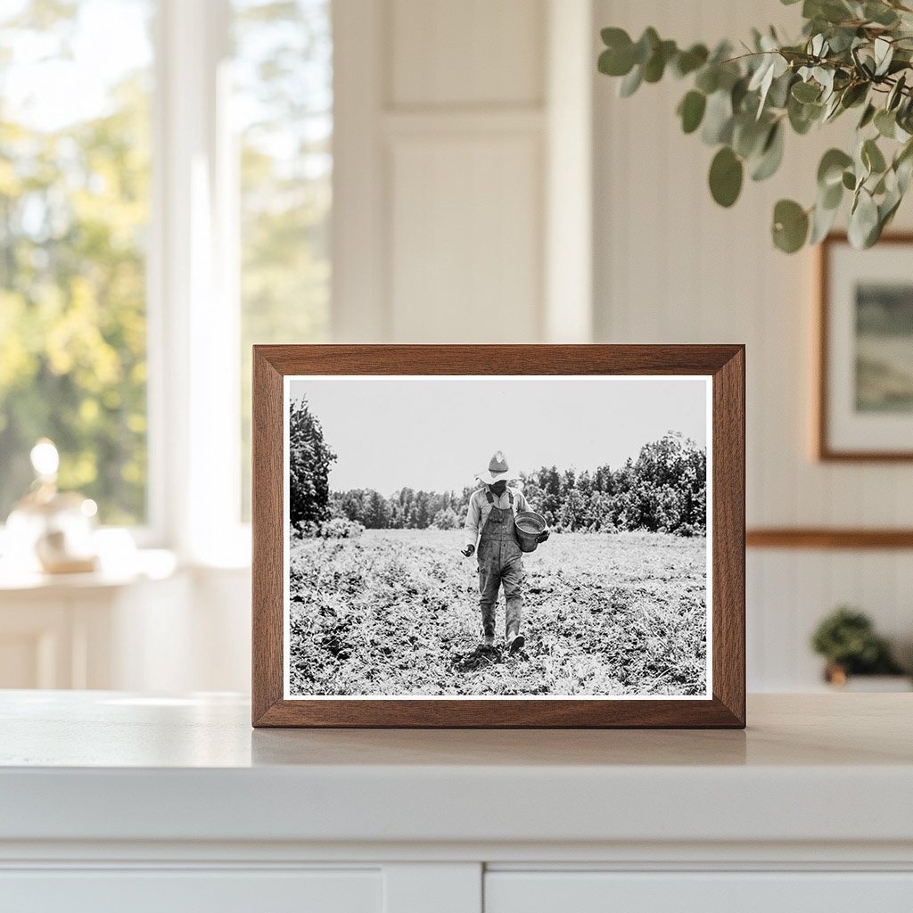 Planting Corn in Delta Cooperative Farms June 1937 - Available at KNOWOL