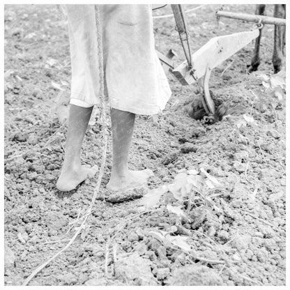 Plow Girl in Greene County Alabama July 1936 - Available at KNOWOL