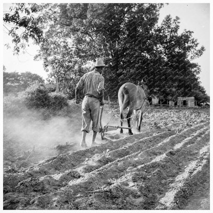 Plowboy Working on Farm Alabama June 1936 - Available at KNOWOL