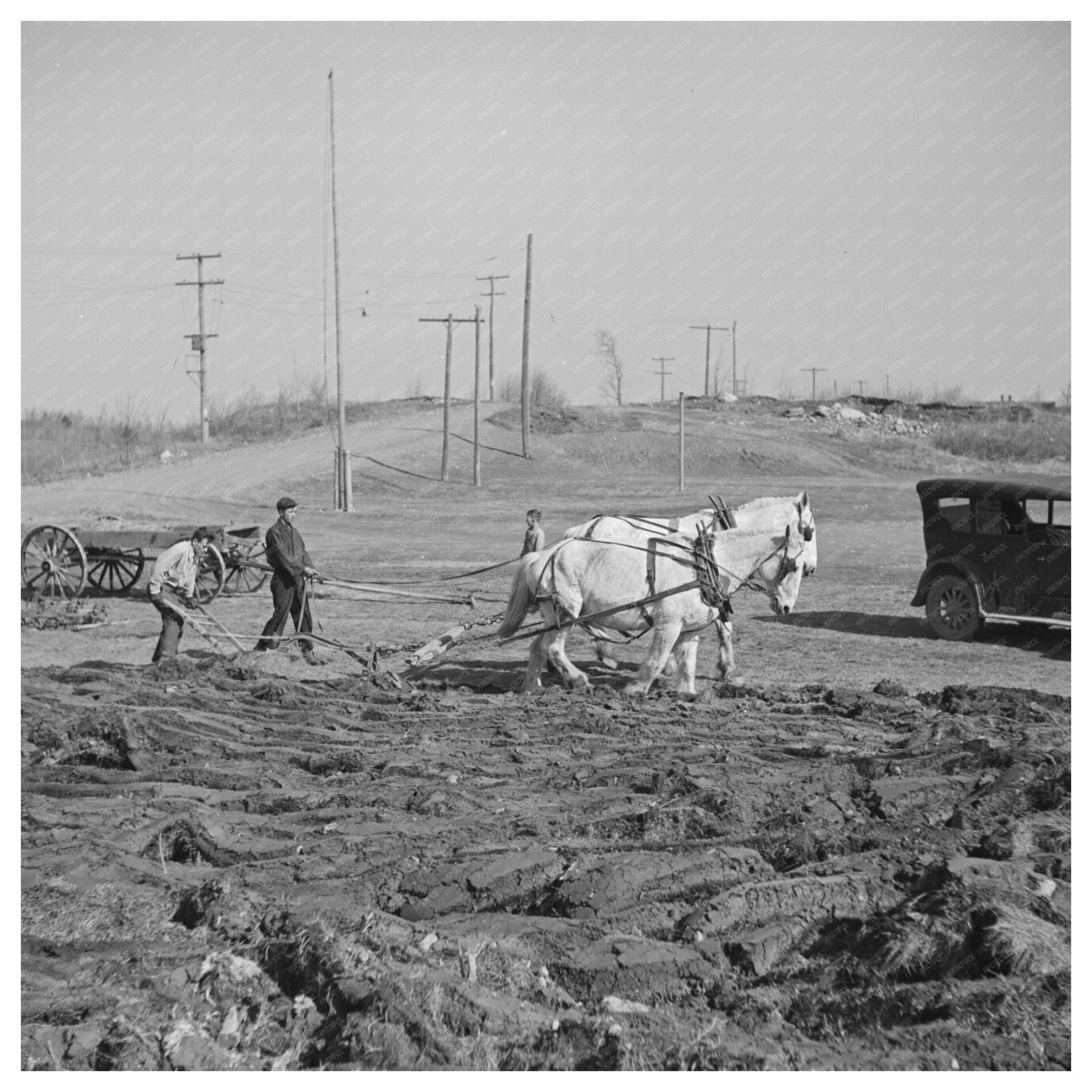 Plowing Cut - Over Land in Florence County May 1937 - Available at KNOWOL