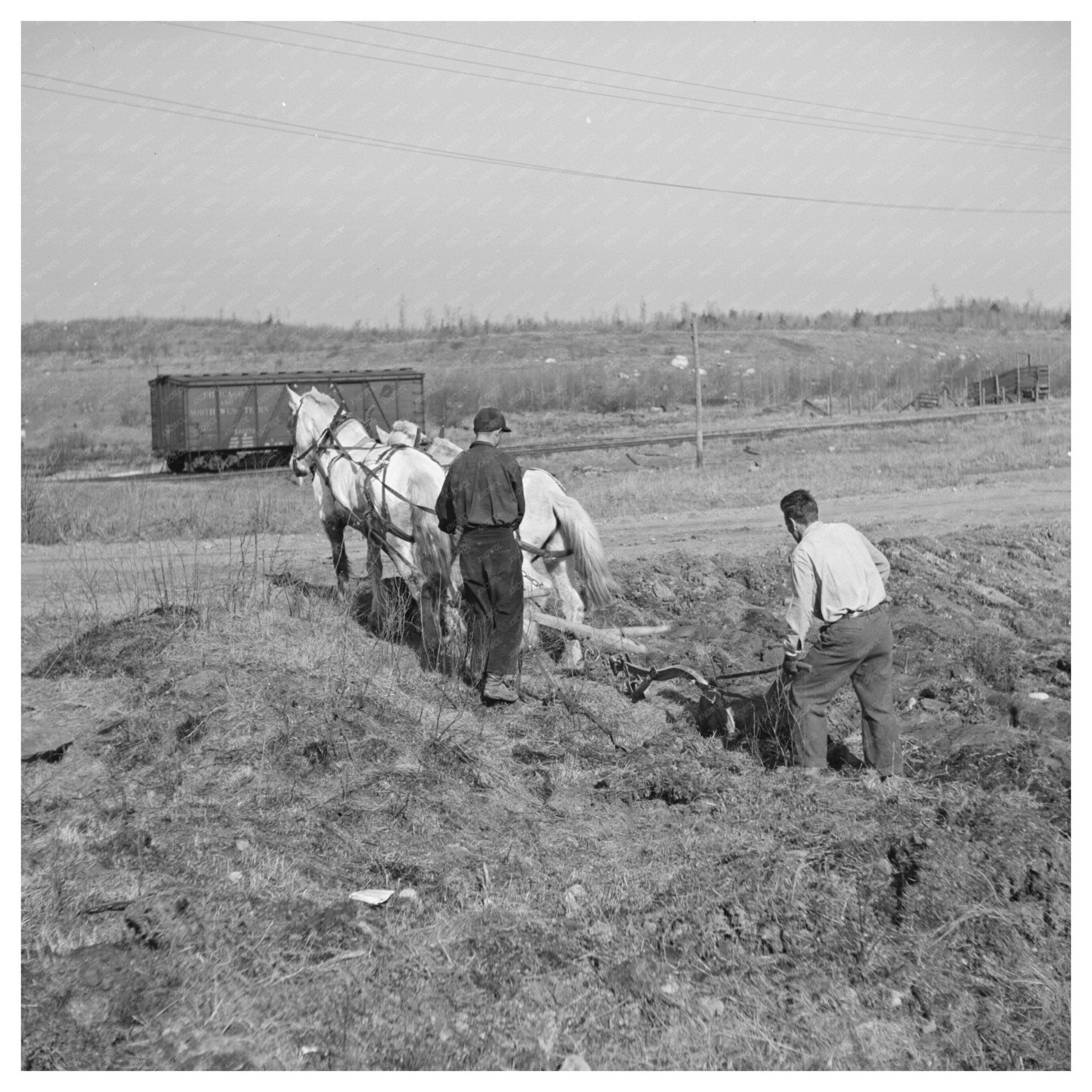 Plowing Cut - Over Land in Tipler Wisconsin May 1937 - Available at KNOWOL