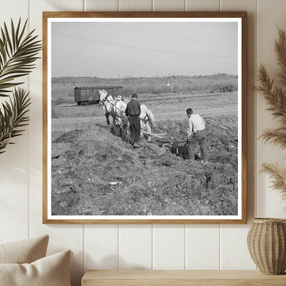 Plowing Cut - Over Land in Tipler Wisconsin May 1937 - Available at KNOWOL