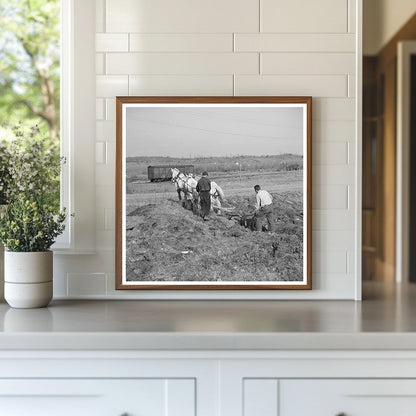 Plowing Cut - Over Land in Tipler Wisconsin May 1937 - Available at KNOWOL