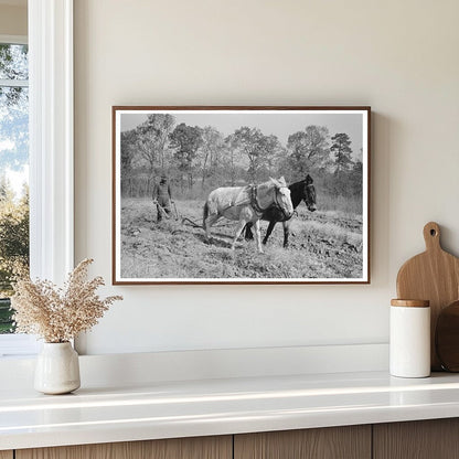 Plowing Sweet Potatoes in Laurel Mississippi 1938 - Available at KNOWOL