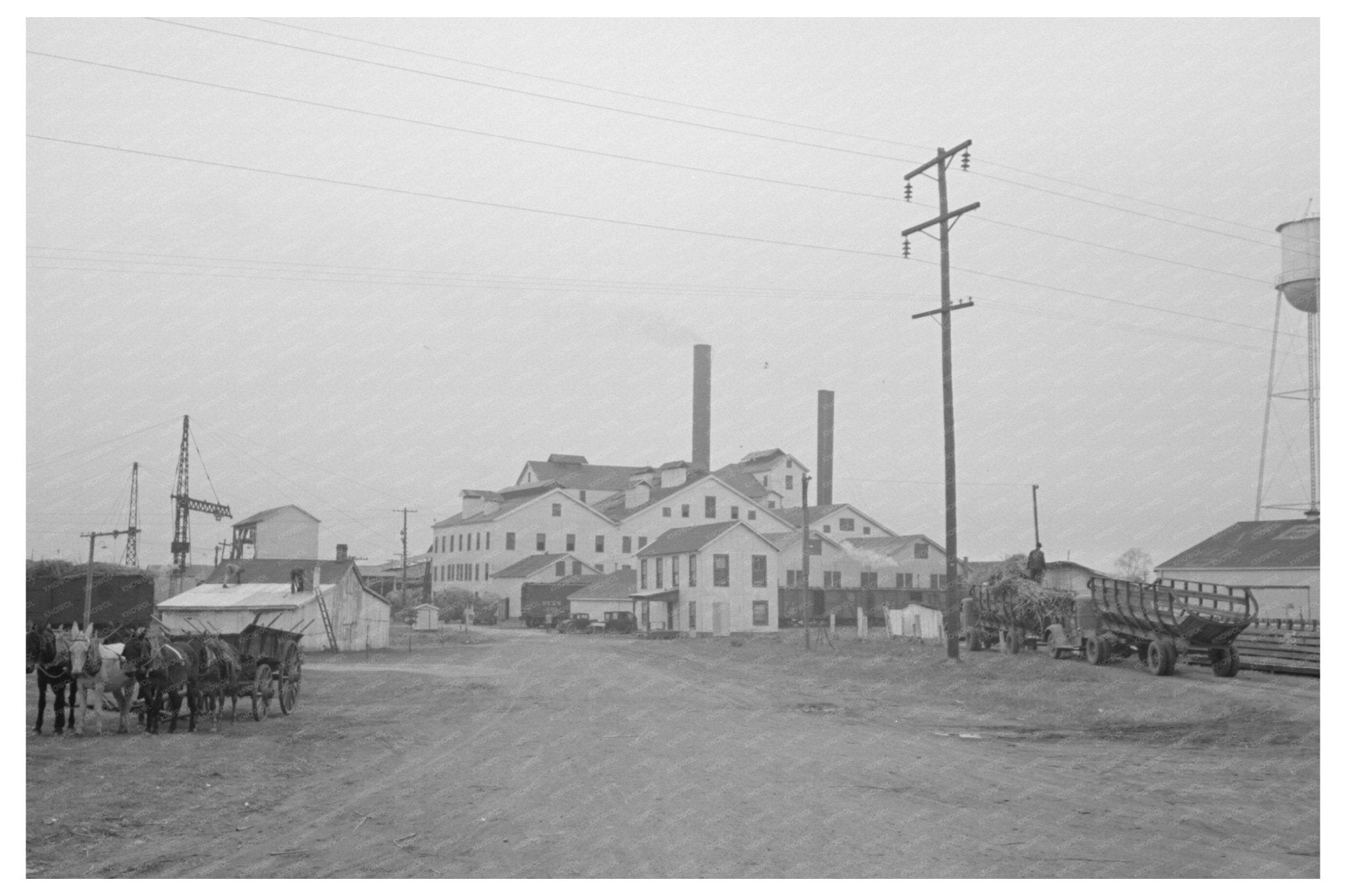 Port Barre Louisiana Sugar Mill October 1938 Photo - Available at KNOWOL