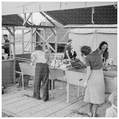 Portable Laundry and Shower Unit at FSA Camp Oregon 1939 - Available at KNOWOL