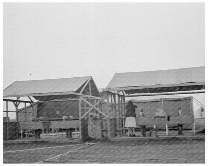 Portable Laundry and Shower Unit in FSA Camp 1939 - Available at KNOWOL