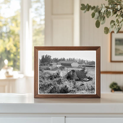 Potato Camp in Klamath County Oregon September 1939 - Available at KNOWOL