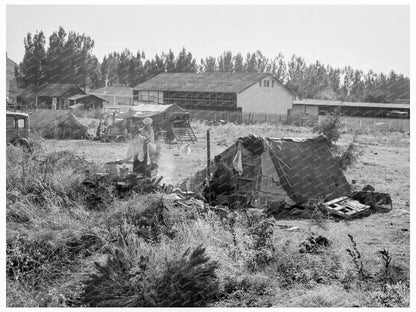 Potato Camp in Klamath County Oregon September 1939 - Available at KNOWOL