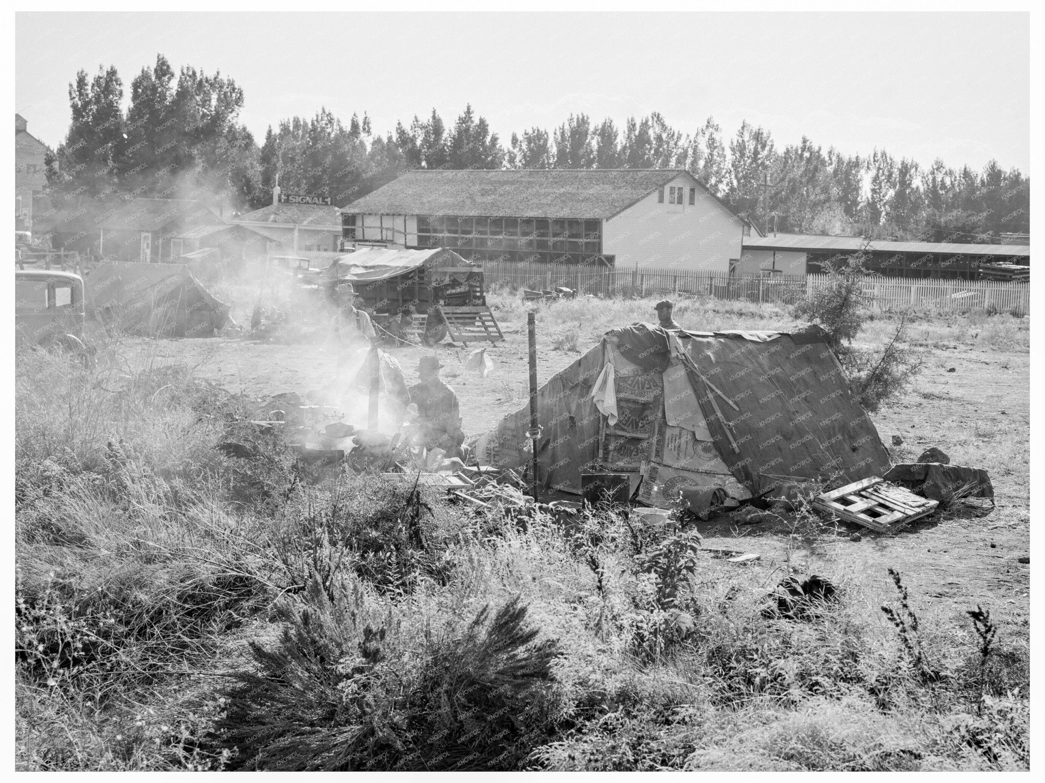 Potato Camp in Malin Oregon September 1939 - Available at KNOWOL