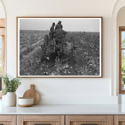 Potato Digger in East Grand Forks Minnesota October 1937 - Available at KNOWOL