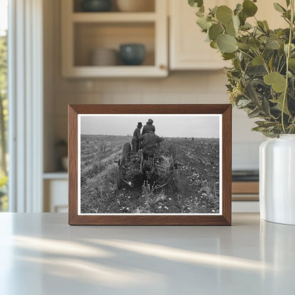 Potato Digger in East Grand Forks Minnesota October 1937 - Available at KNOWOL