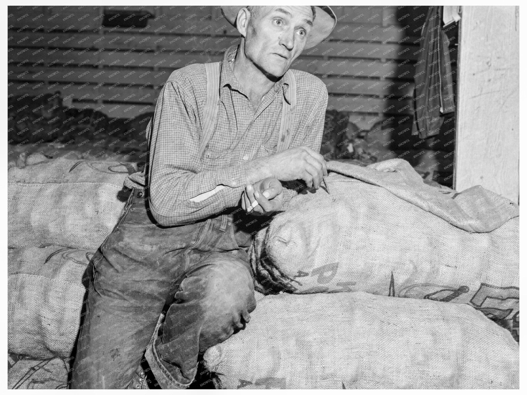 Potato Farmer in Tulelake California 1939 - Available at KNOWOL