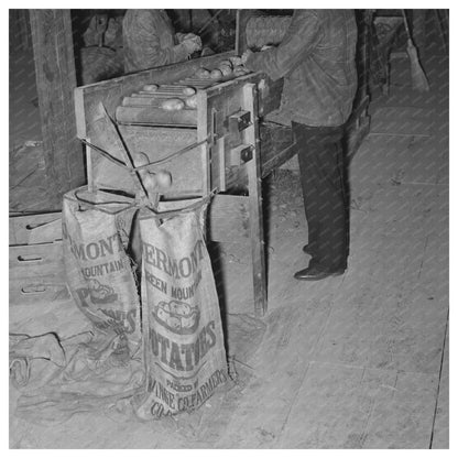 Potato Grading in Bradford Vermont October 1939 - Available at KNOWOL