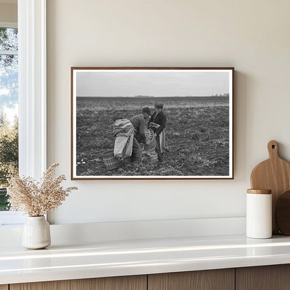 Potato Harvesting in East Grand Forks Minnesota 1937 - Available at KNOWOL