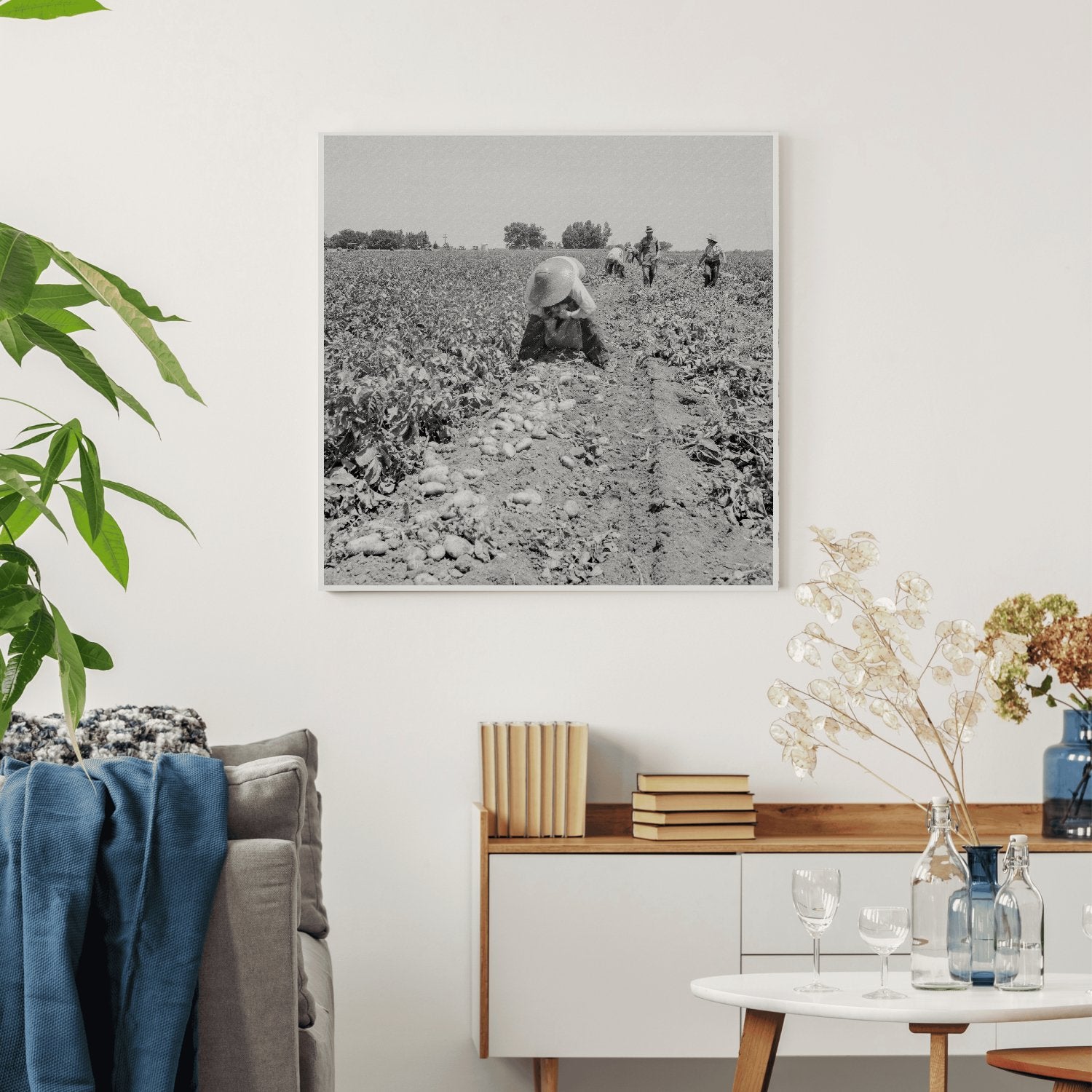 Potato Harvesting in Shafter California 1937 - Available at KNOWOL