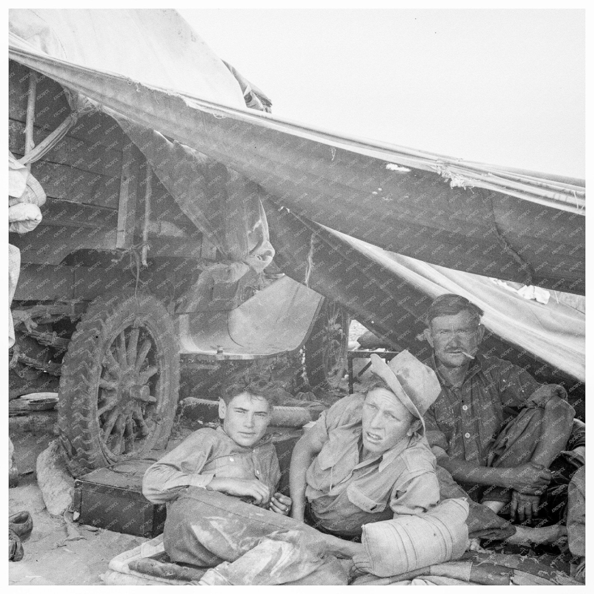 Potato Pickers Camp Shafter California May 1937 - Available at KNOWOL