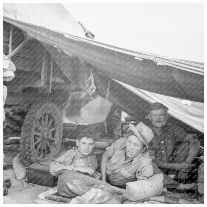 Potato Pickers Camp Shafter California May 1937 - Available at KNOWOL