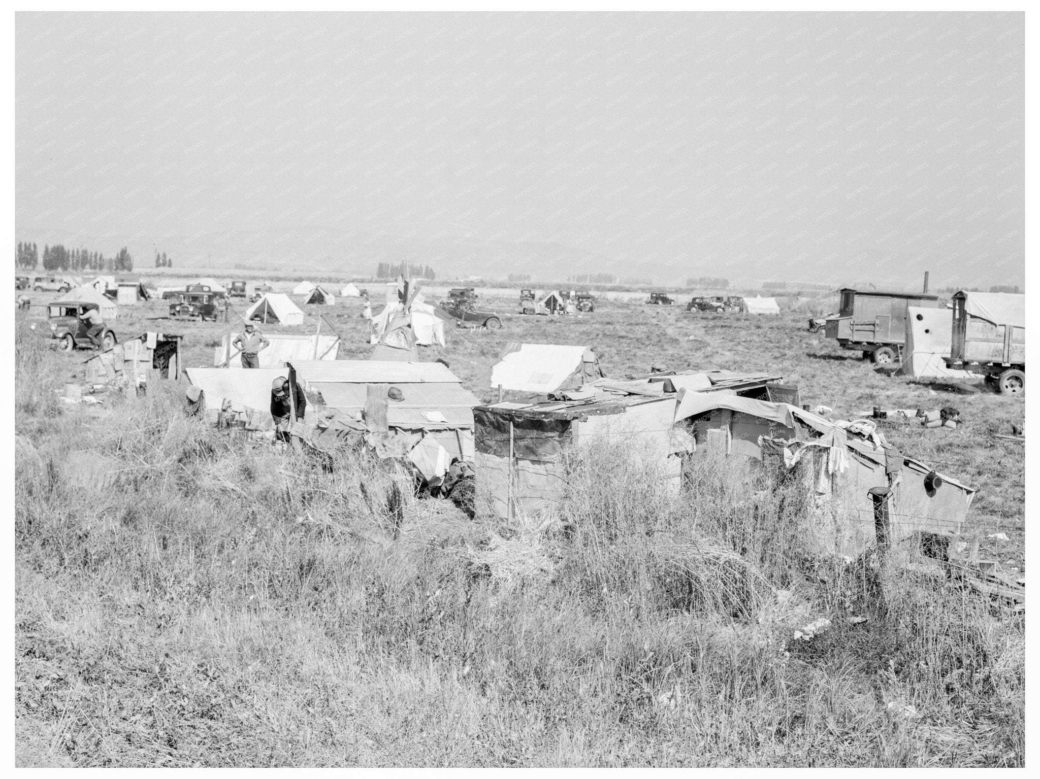 Potato Pickers Camp Tulelake California 1939 - Available at KNOWOL