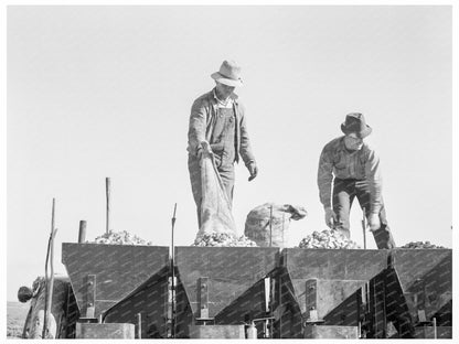 Potato Planting with Fertilizer in Kern County 1939 - Available at KNOWOL