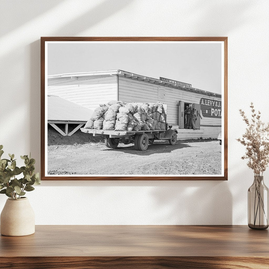 Potato Shed and Pickers Camp Tulelake California 1939 - Available at KNOWOL