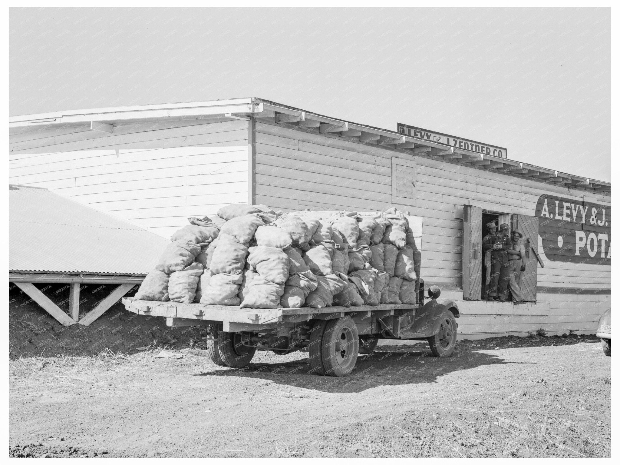 Potato Shed and Pickers Camp Tulelake California 1939 - Available at KNOWOL