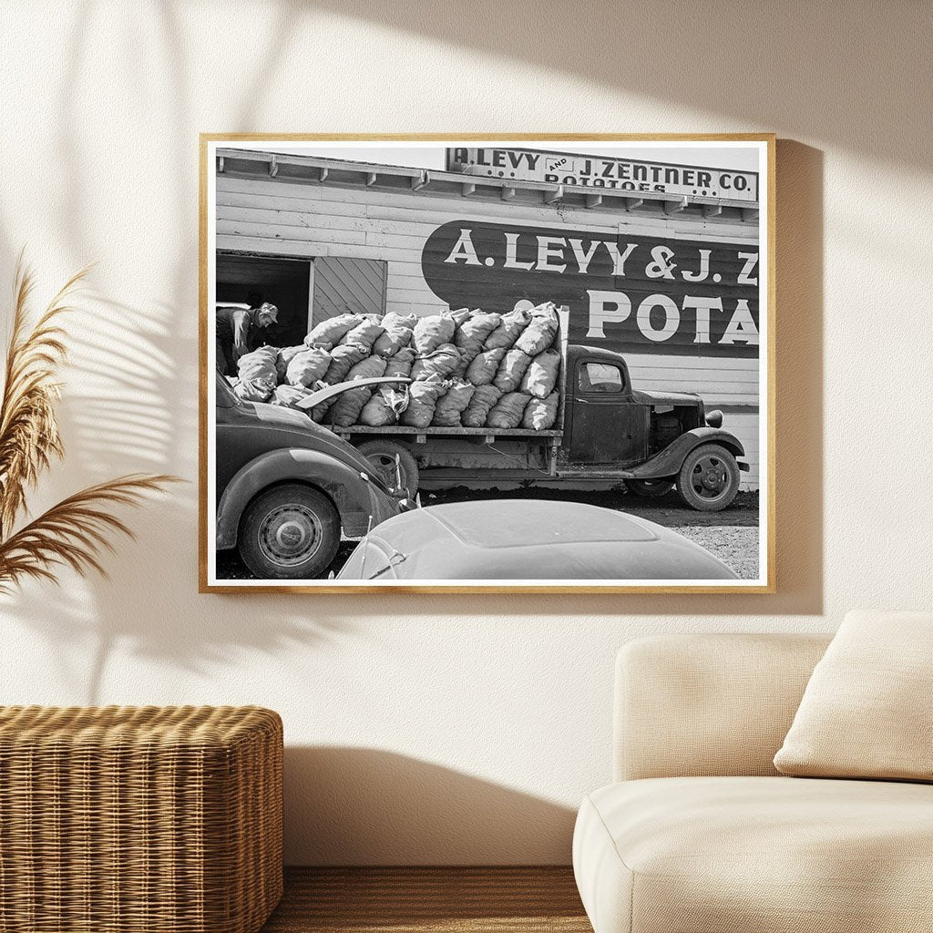 Potato Shed Harvesting in Tulelake California 1939 - Available at KNOWOL