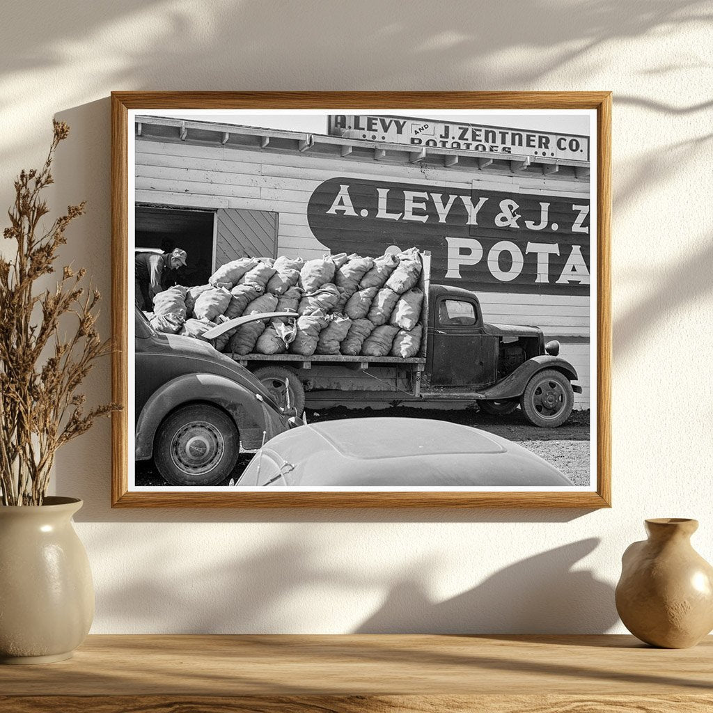 Potato Shed Harvesting in Tulelake California 1939 - Available at KNOWOL