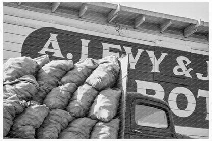 Potato Shed Near Pickers Camp Tulelake California 1939 - Available at KNOWOL