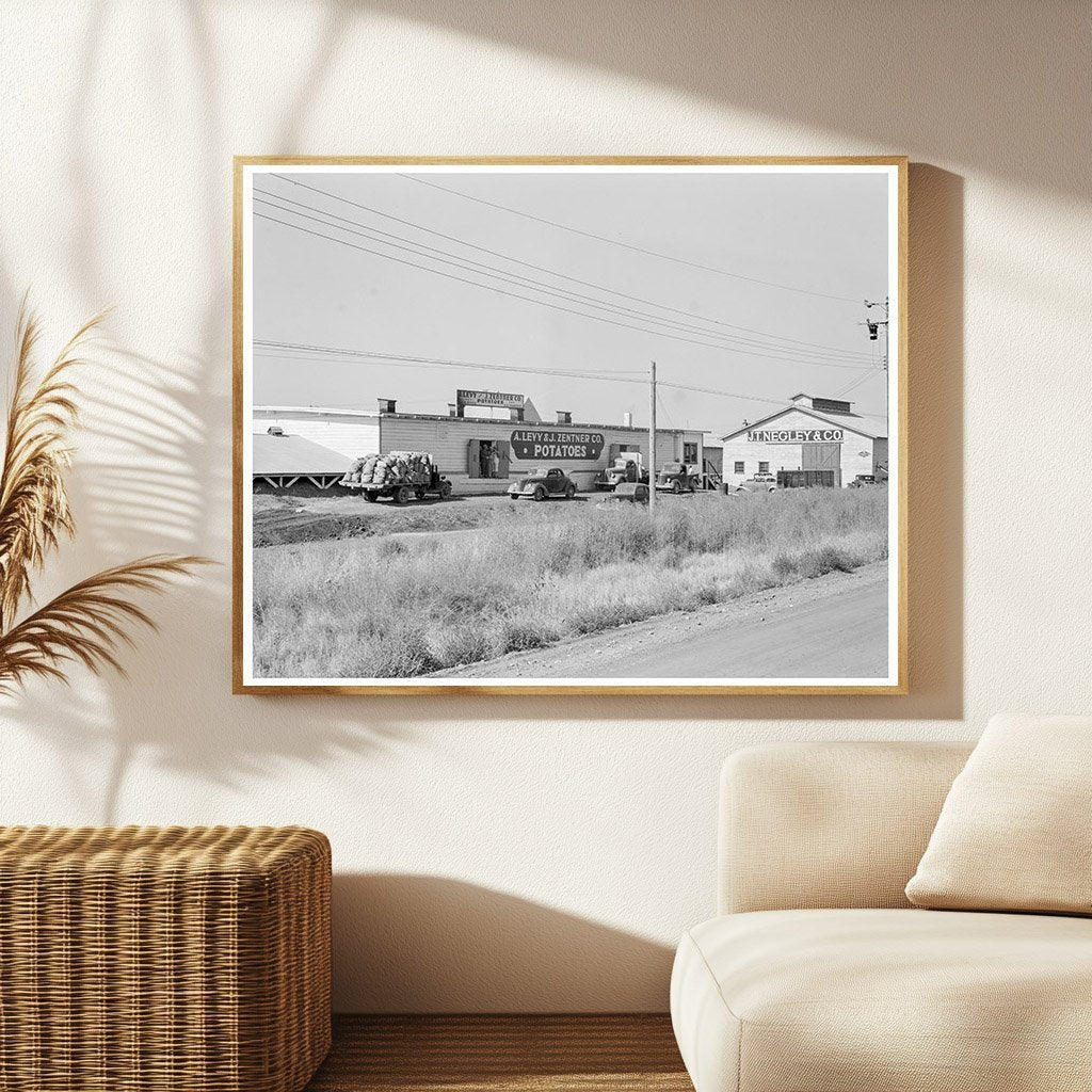 Potato Sheds and Pickers Camp Tulelake California 1939 - Available at KNOWOL