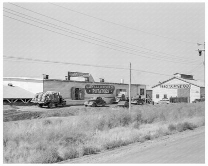 Potato Sheds and Pickers Camp Tulelake California 1939 - Available at KNOWOL