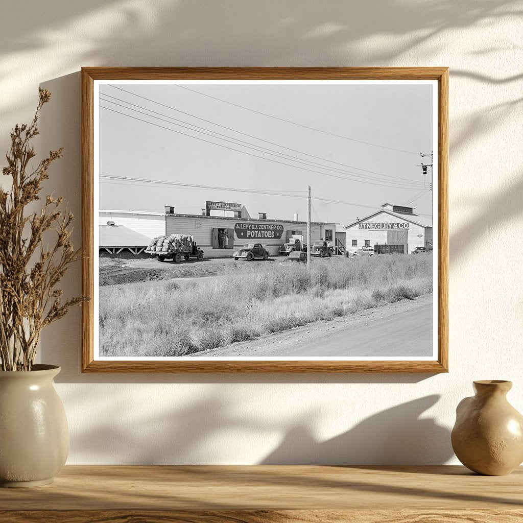 Potato Sheds and Pickers Camp Tulelake California 1939 - Available at KNOWOL