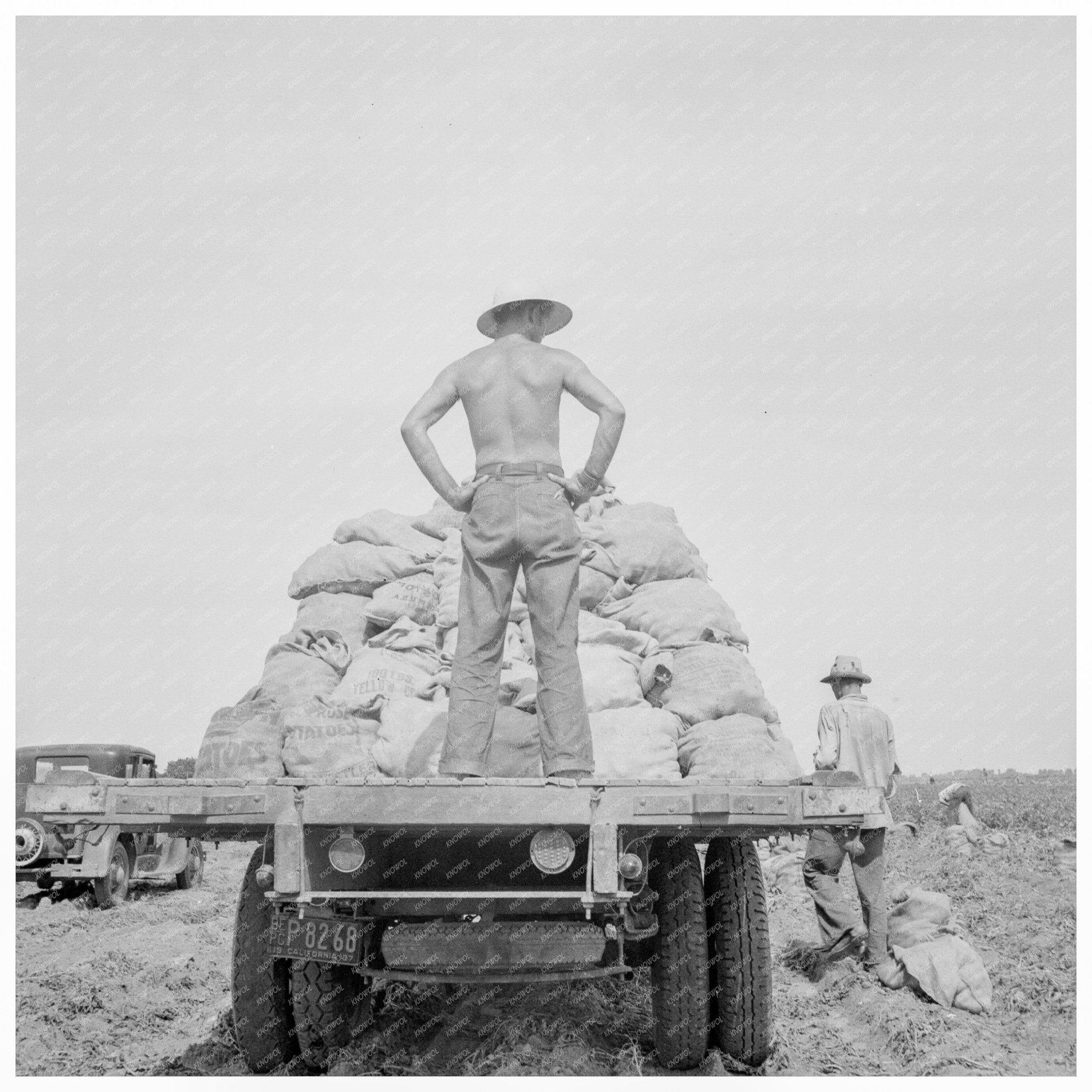 Potato Truck in Kern County California May 1937 - Available at KNOWOL