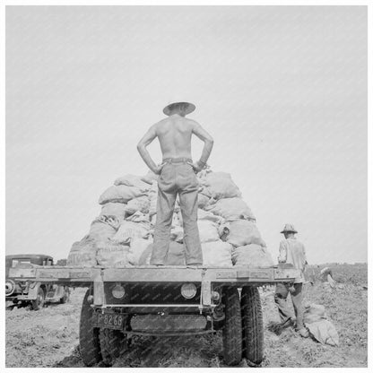 Potato Truck in Kern County California May 1937 - Available at KNOWOL