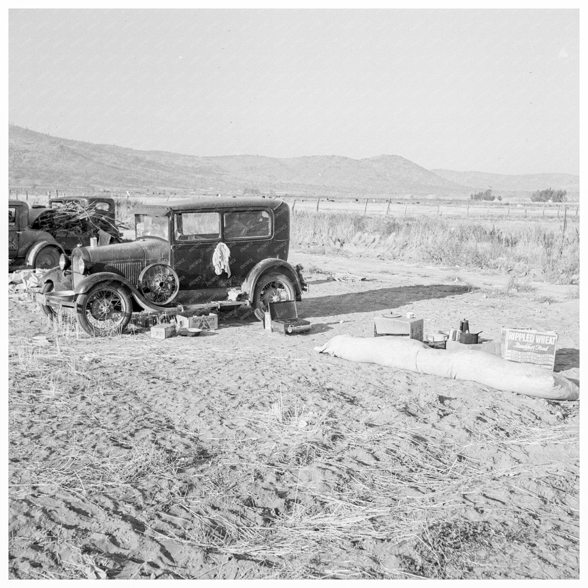 Potato Workers Camp Klamath County Oregon 1939 - Available at KNOWOL