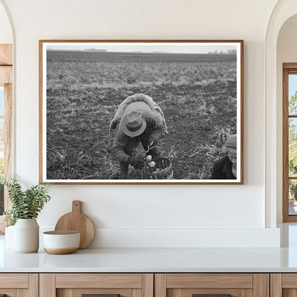 Potato Workers Harvesting Near East Grand Forks 1937 - Available at KNOWOL