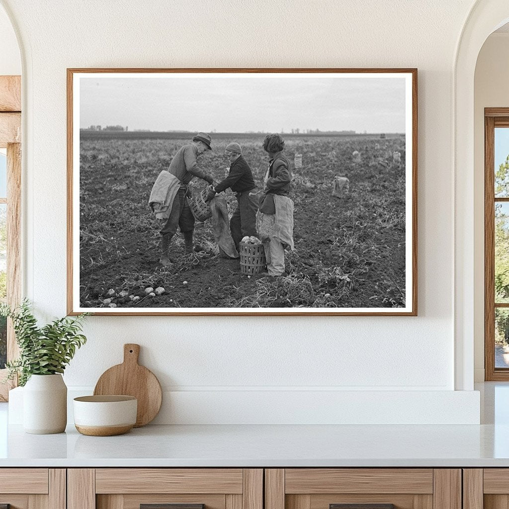 Potato Workers in East Grand Forks Minnesota 1937 - Available at KNOWOL