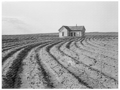 Power Farming and Tenant Displacement in Texas 1938 - Available at KNOWOL