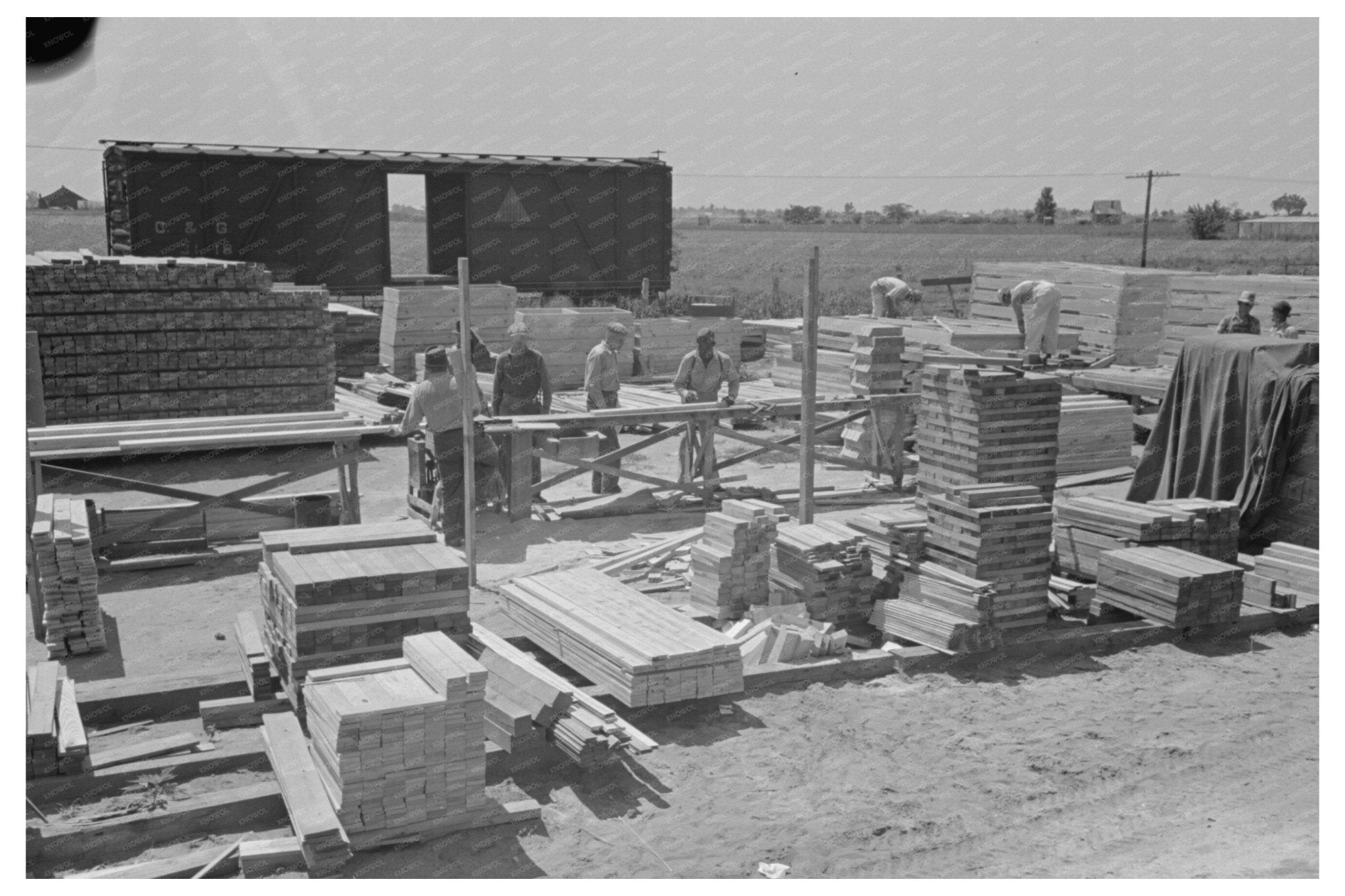 Precutting Operation at New Madrid County Farm May 1938 - Available at KNOWOL