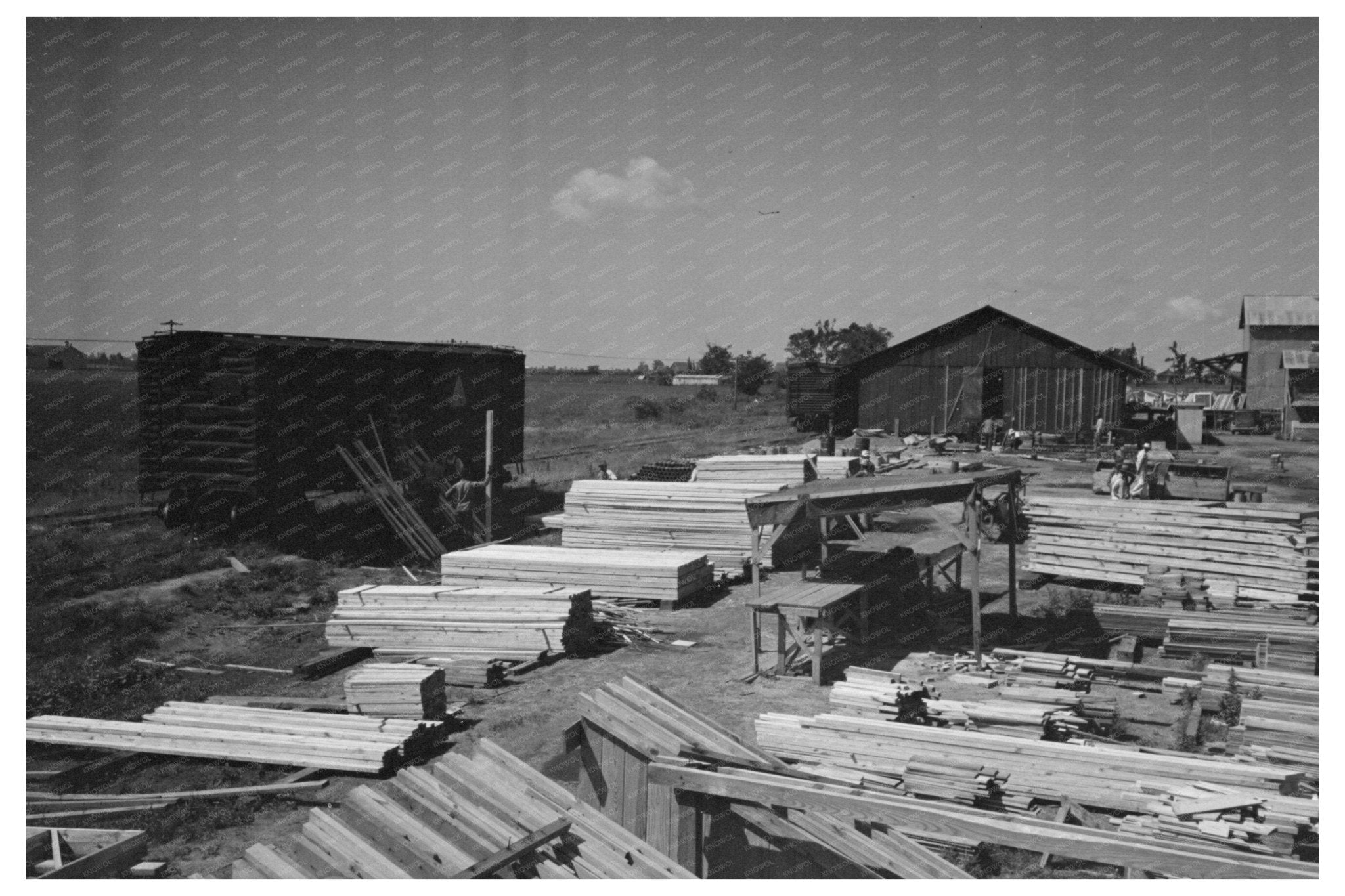 Precutting Plant Layout Southeast Missouri May 1938 - Available at KNOWOL