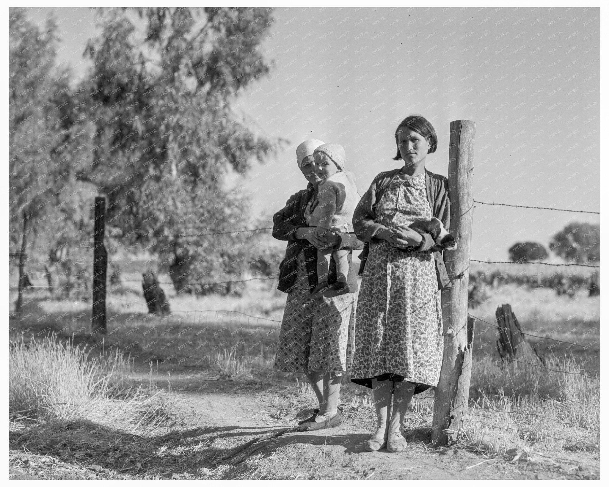 Pregnant Migrant Woman in Kern County 1936 Photo - Available at KNOWOL