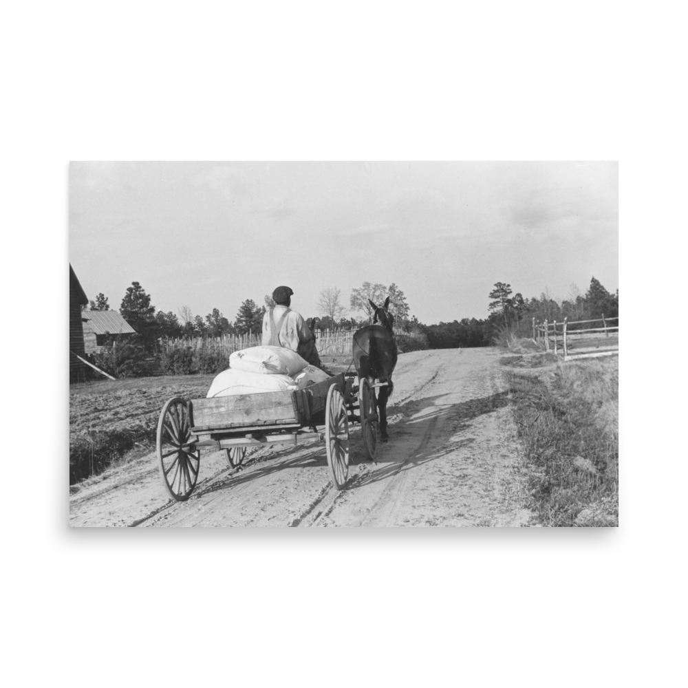 AL - Bringing home meal from co-op grist mill, Gees Bend, Boykin Alabama 1939