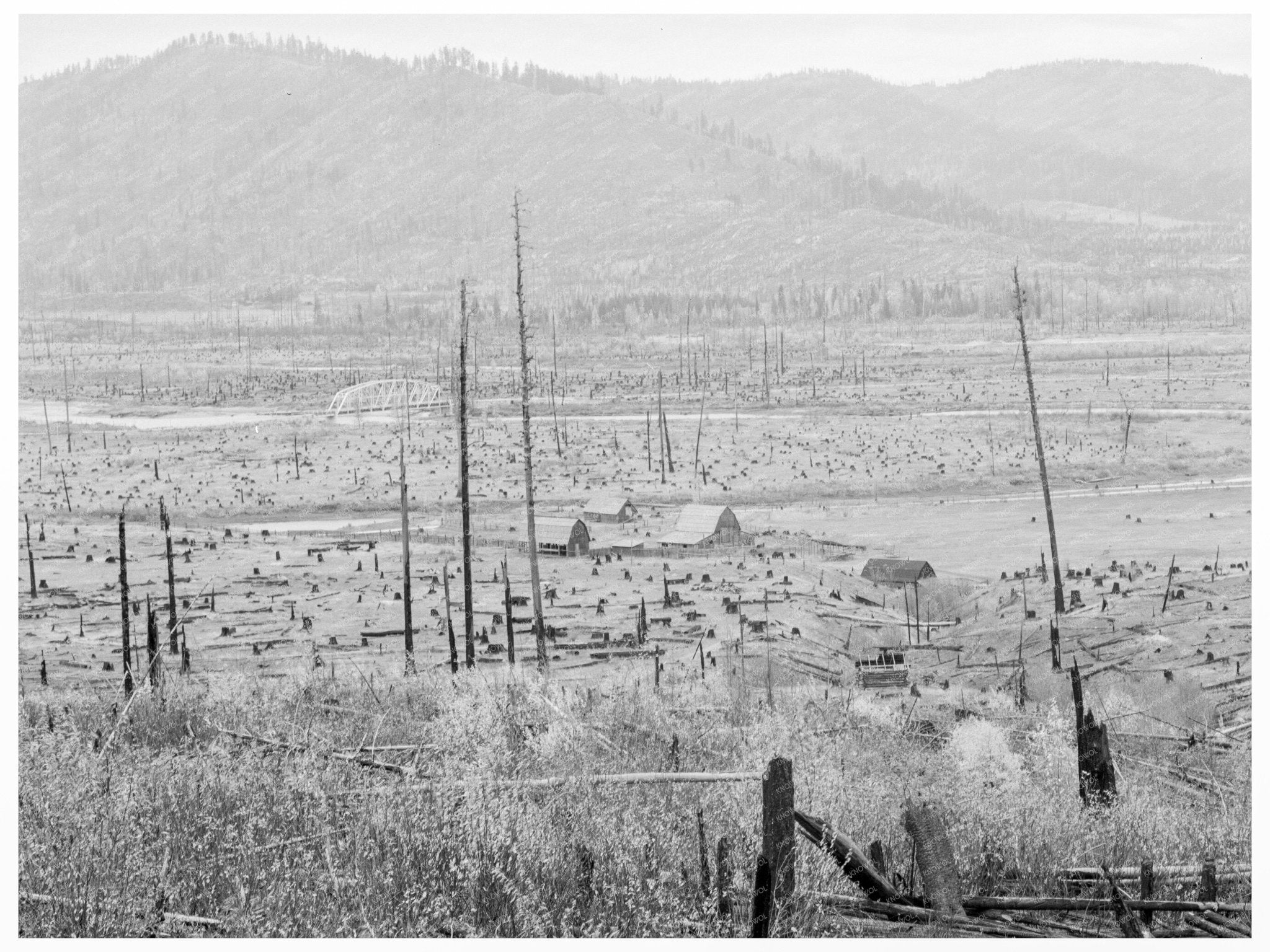 Priest River October 1939 Early Farms Bonner County Idaho - Available at KNOWOL